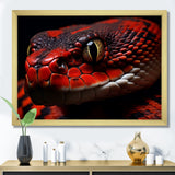 Serpents Stare - Snake Wall Art Prints
