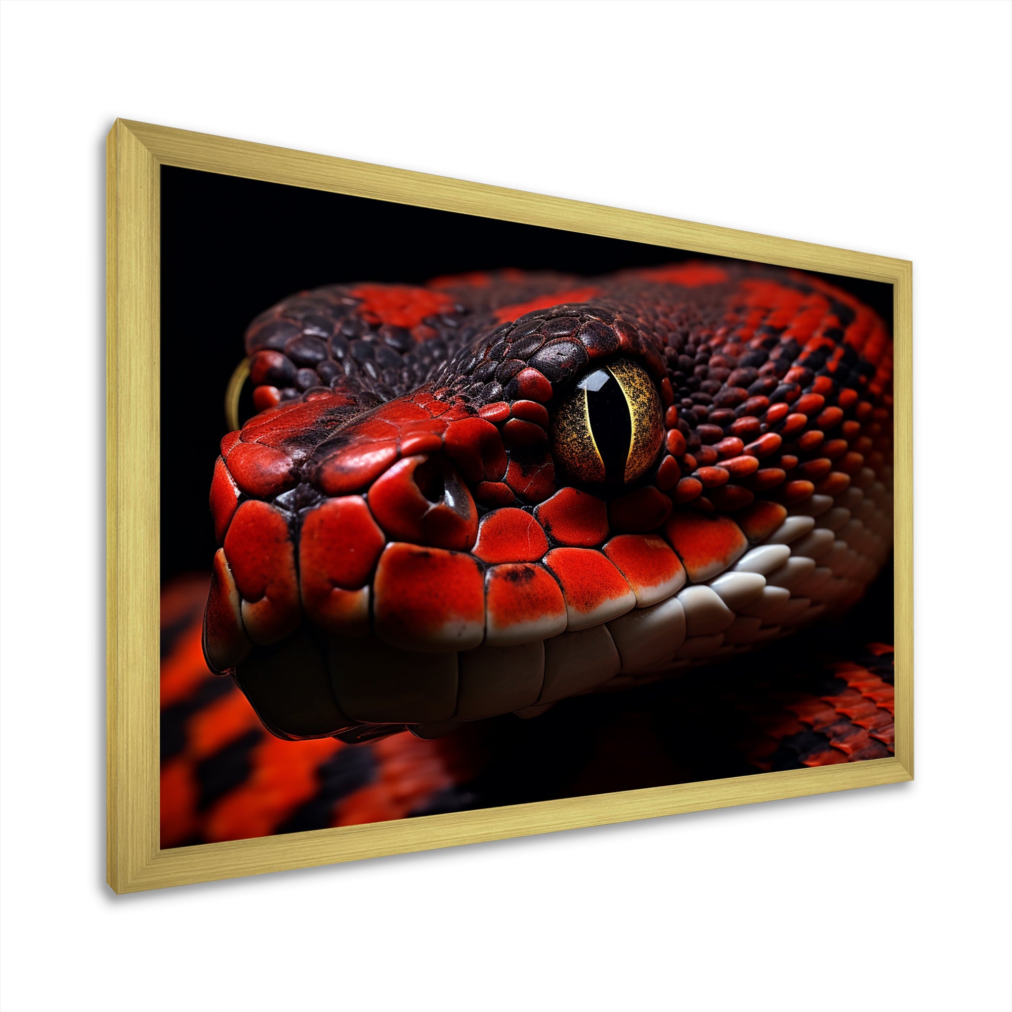 Serpents Stare - Snake Wall Art Prints
