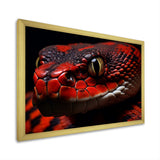 Serpents Stare - Snake Wall Art Prints