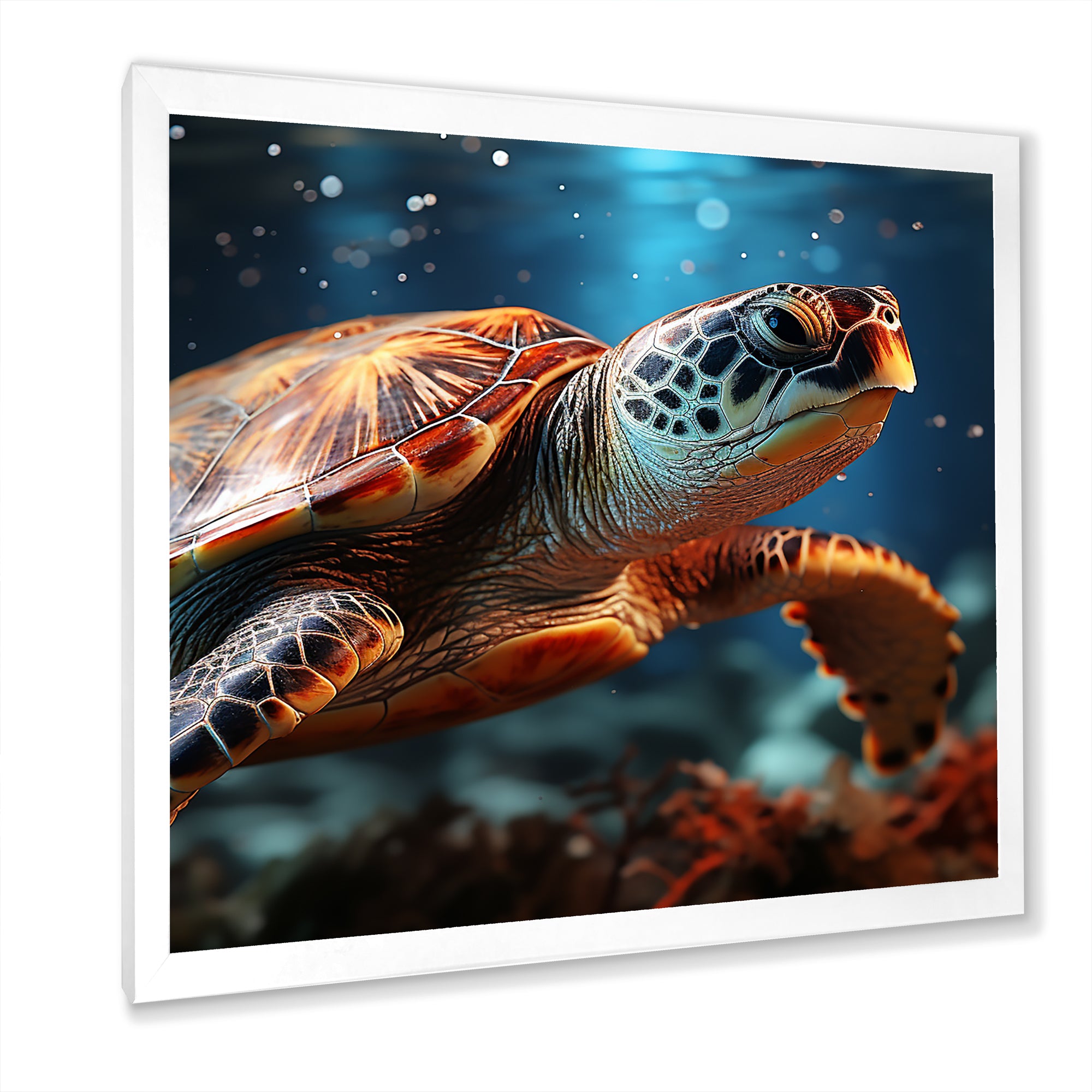 Abstract Harmony - Turtle Bedroom Wall Art