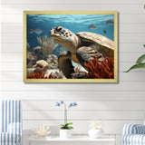 Classic Coastal Life - Turtle Wall Art Prints
