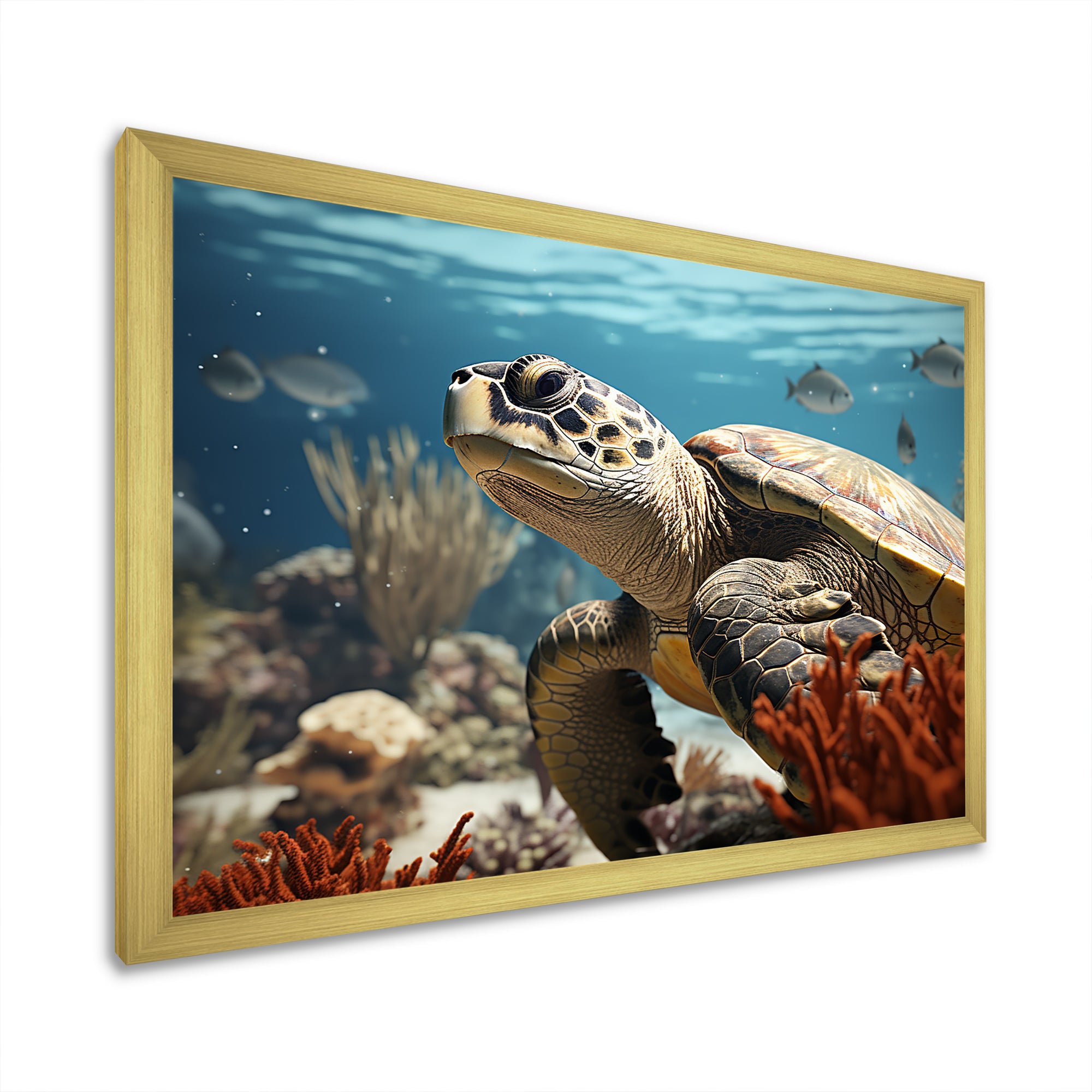 Classic Coastal Life - Turtle Wall Art Prints