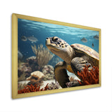 Classic Coastal Life - Turtle Wall Art Prints