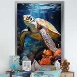 Dreamy Marine Encounter - Turtle Wall Decor