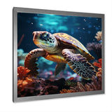 Tranquility Of A Turtle In A Dream - Turtle Framed Canvas Art