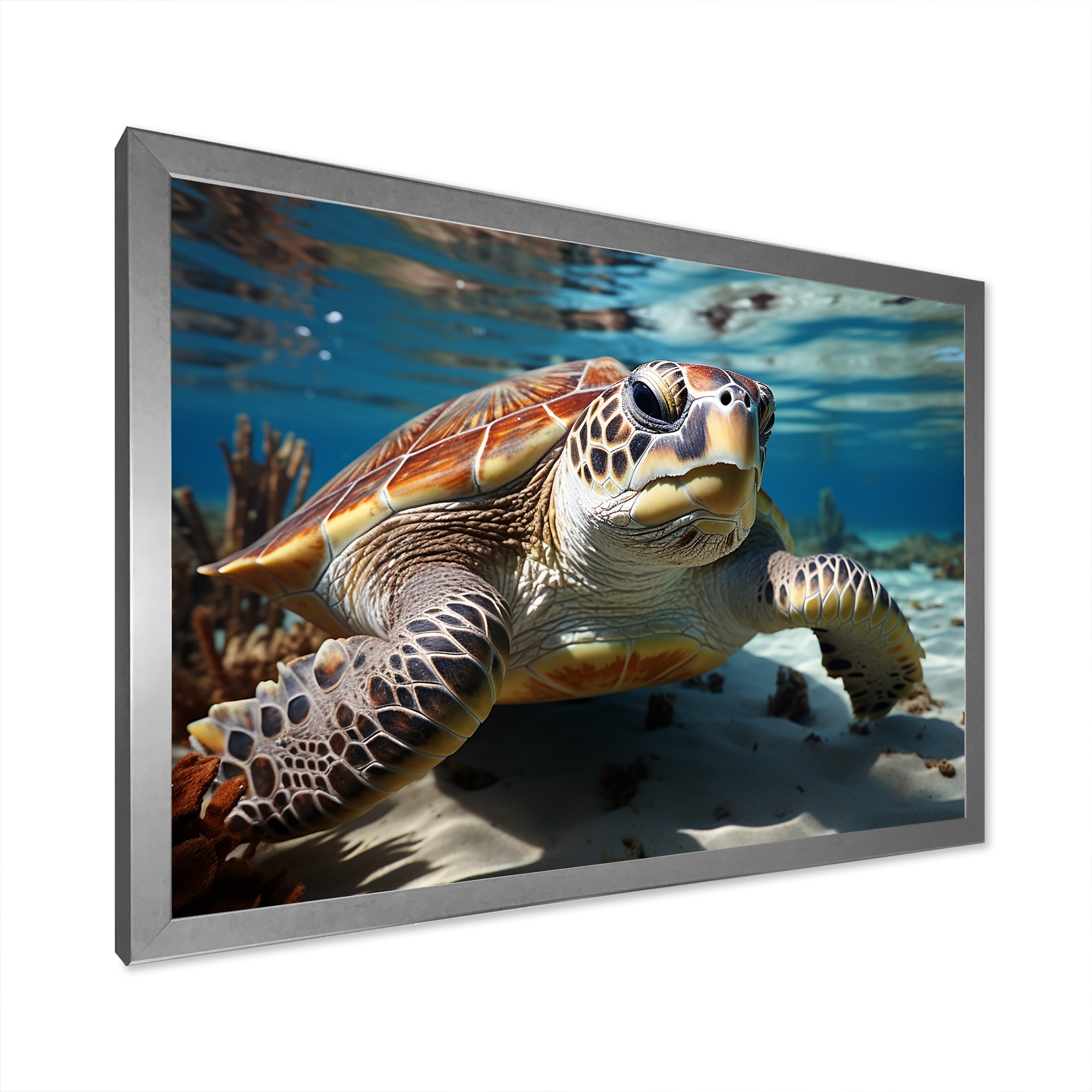 Minimalist Lagoon Turtle - Turtle Wall Art Prints