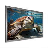 Minimalist Lagoon Turtle - Turtle Wall Art Prints