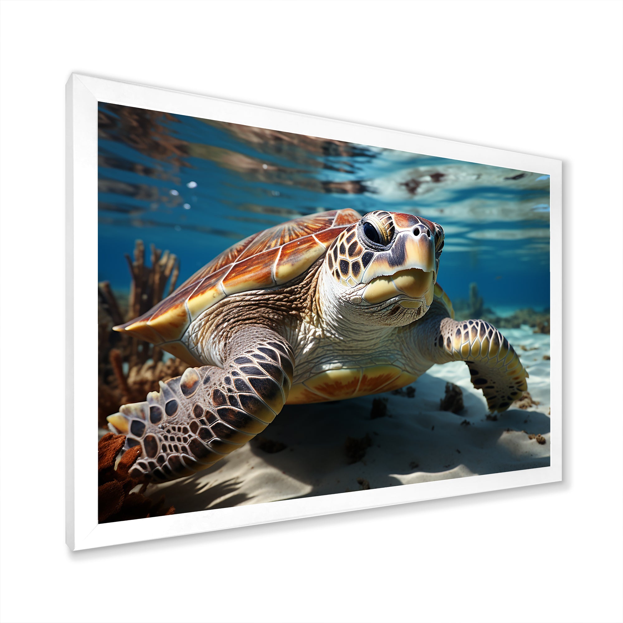 Minimalist Lagoon Turtle - Turtle Wall Art Prints