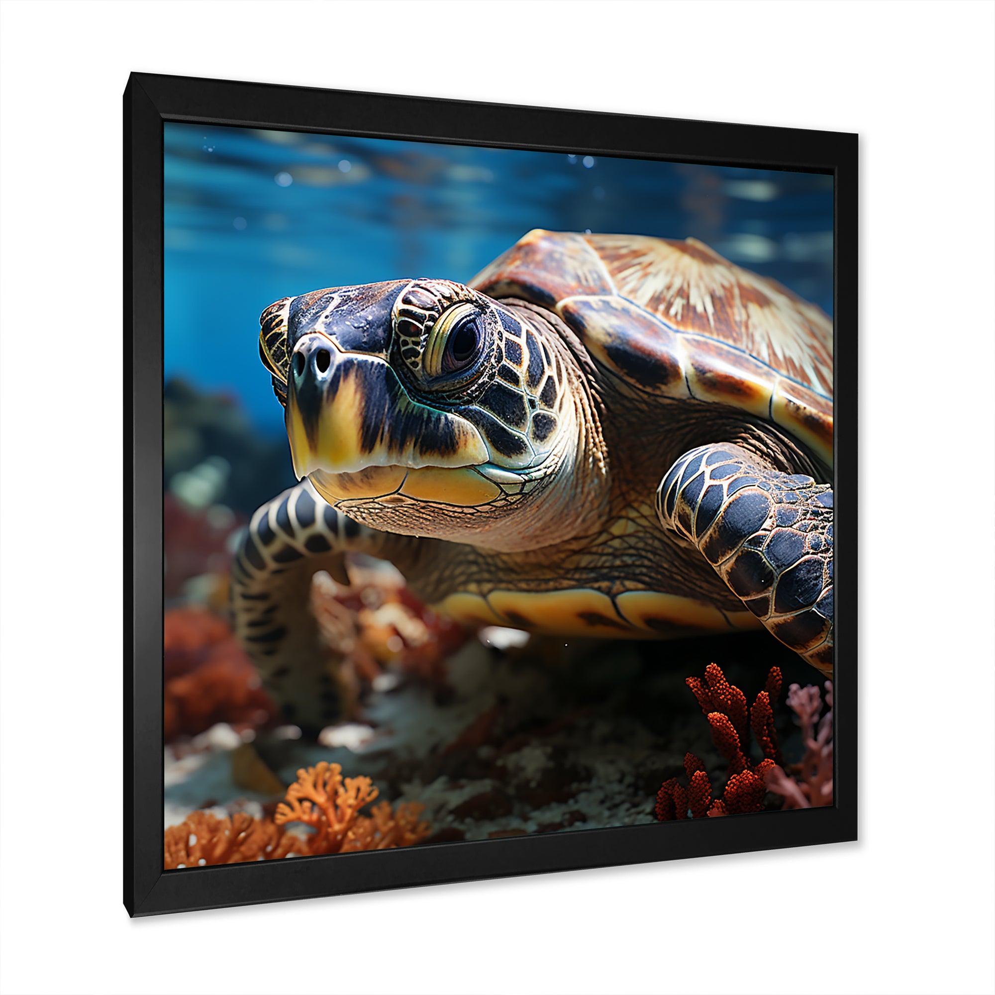 Curious Underwater Sea Turtle - Gray Turtle Wall Art