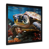 Curious Underwater Sea Turtle - Gray Turtle Wall Art