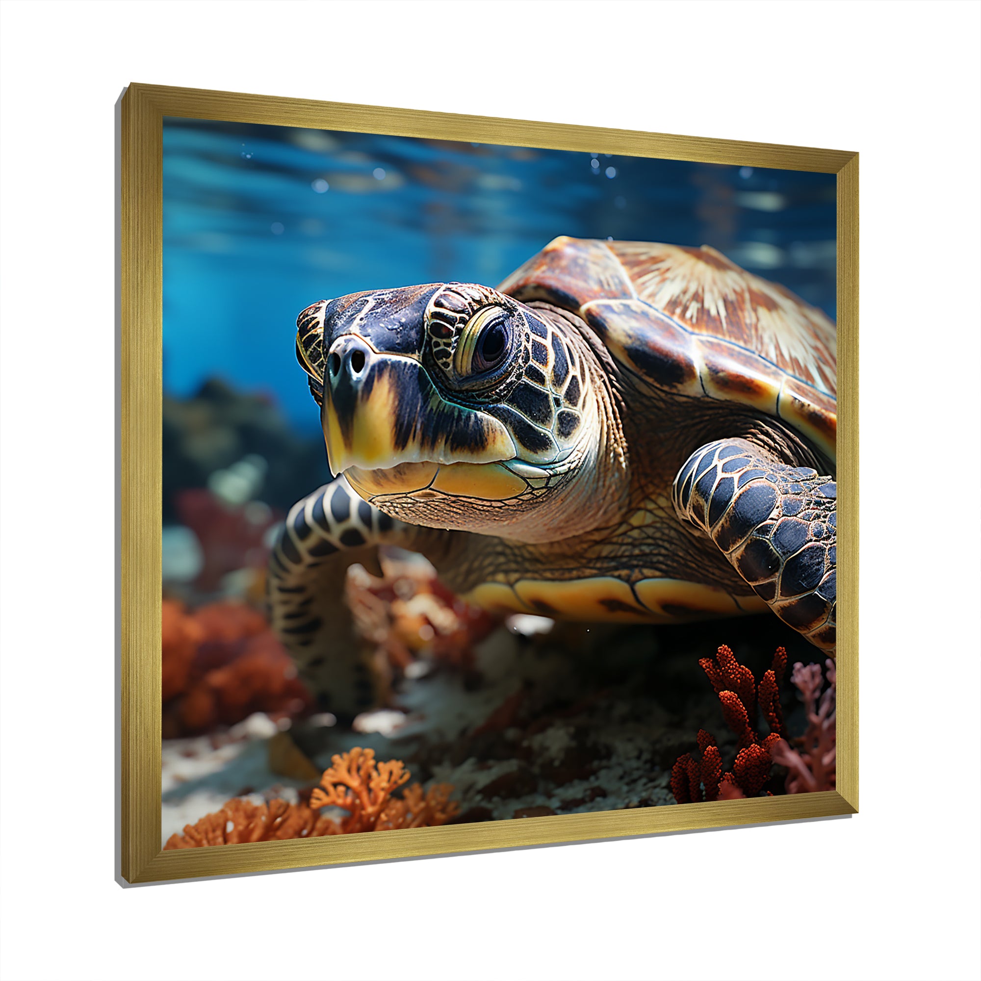 Curious Underwater Sea Turtle - Gray Turtle Wall Art