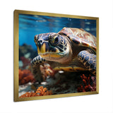 Curious Underwater Sea Turtle - Gray Turtle Wall Art