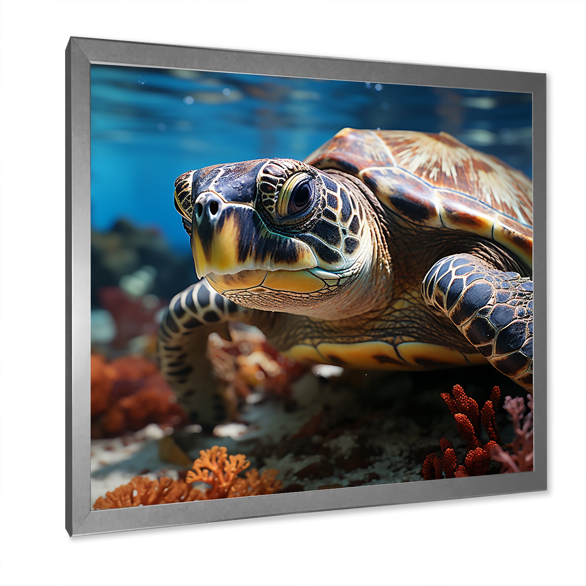 Curious Underwater Sea Turtle - Gray Turtle Wall Art