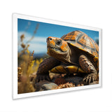 Symbolism - Turtle Living Room Wall Art