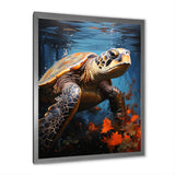 Urban Aquatic Explorer - Turtle Bedroom Wall Art