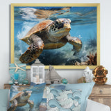Watercolor Coast - Turtle Canvas Wall Art