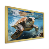 Watercolor Coast - Turtle Canvas Wall Art