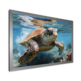Watercolor Coast - Turtle Canvas Wall Art