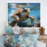 Watercolor Coast - Turtle Canvas Wall Art