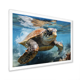 Watercolor Coast - Turtle Canvas Wall Art