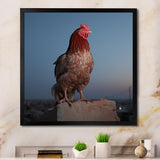 Cock a Doodle Dusk Rooster - Chicken Wall Art Prints