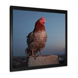 Cock a Doodle Dusk Rooster - Chicken Wall Art Prints
