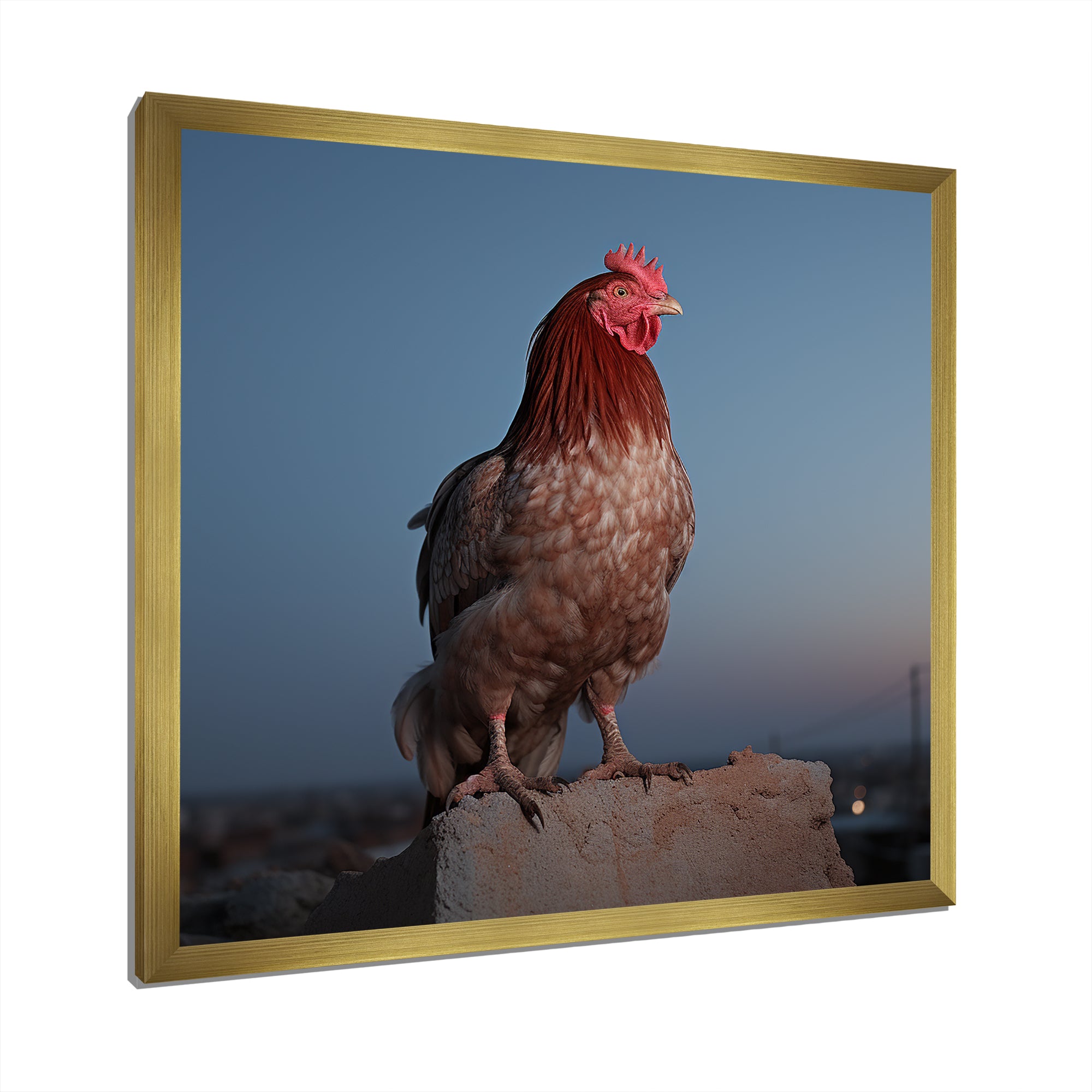 Cock a Doodle Dusk Rooster - Chicken Wall Art Prints