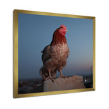 Cock a Doodle Dusk Rooster - Chicken Wall Art Prints