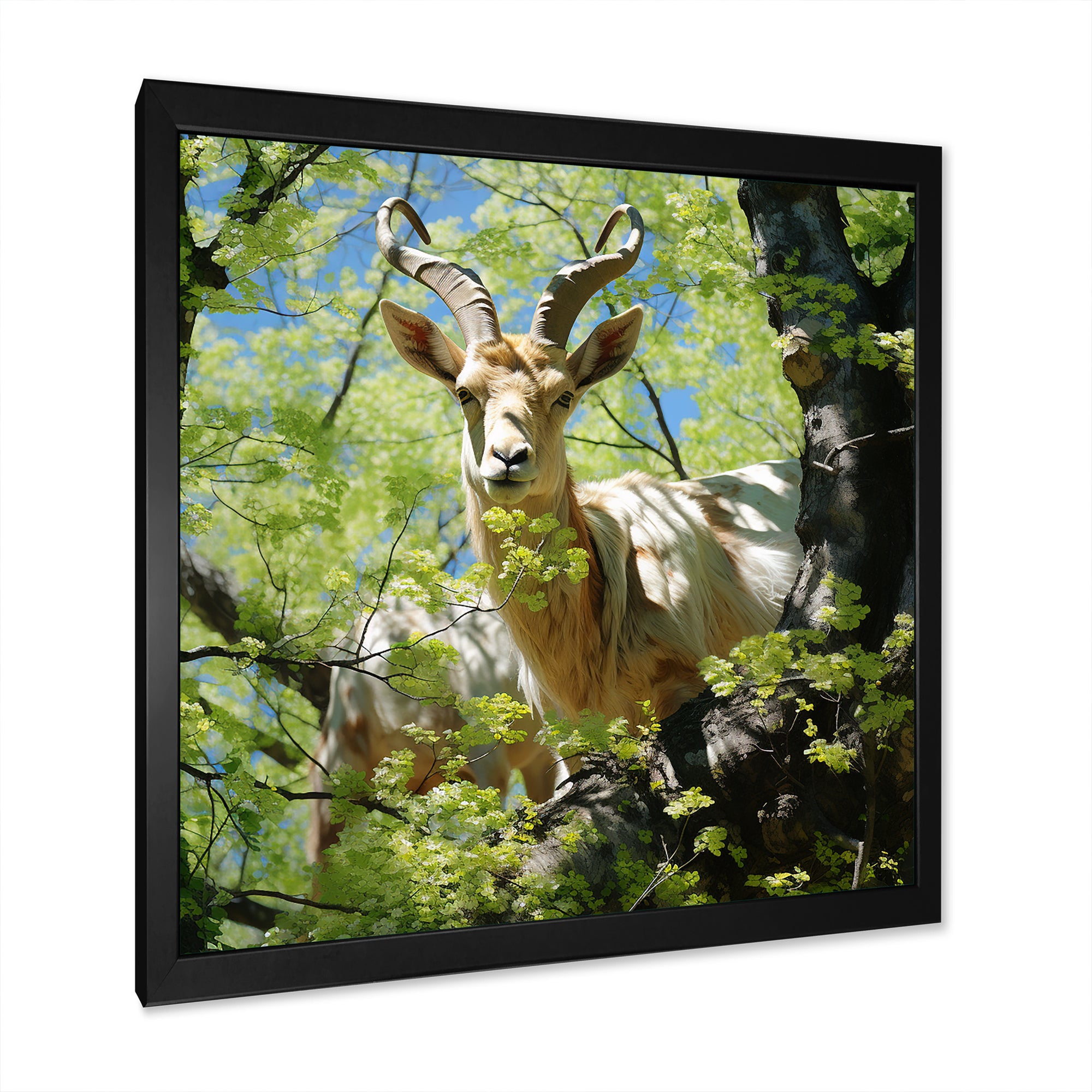 White Portrait of Pastoral Goat in forest - White Goat Wall Art