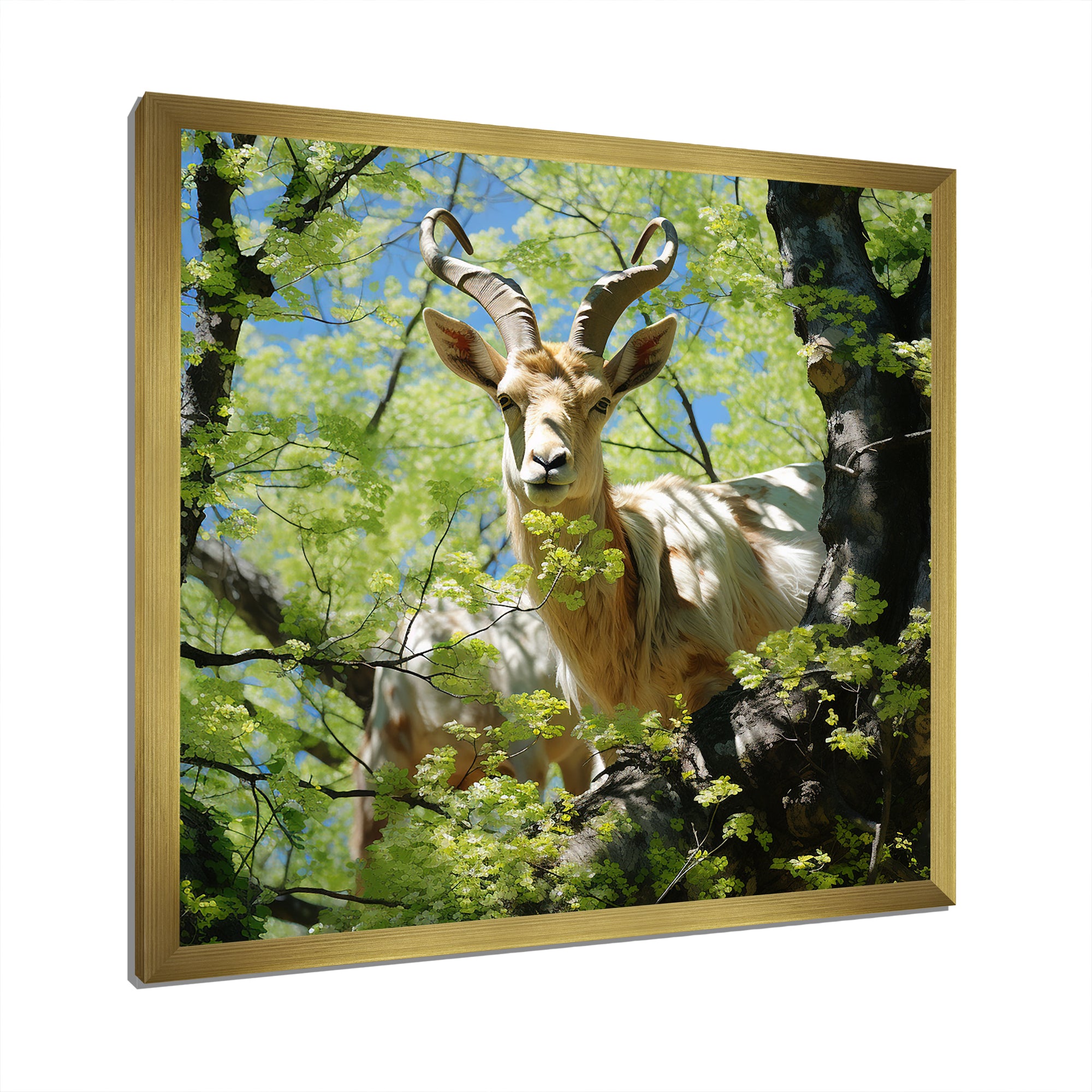 White Portrait of Pastoral Goat in forest - White Goat Wall Art