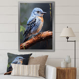 Dusk Plummet bird - Bird Wall Art Prints