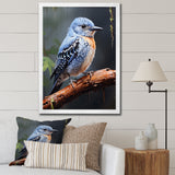Dusk Plummet bird - Bird Wall Art Prints