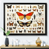 Orange Insects and Bugs - Yellow Insects & Bugs Wall Art