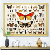 Orange Insects and Bugs - Yellow Insects & Bugs Wall Art