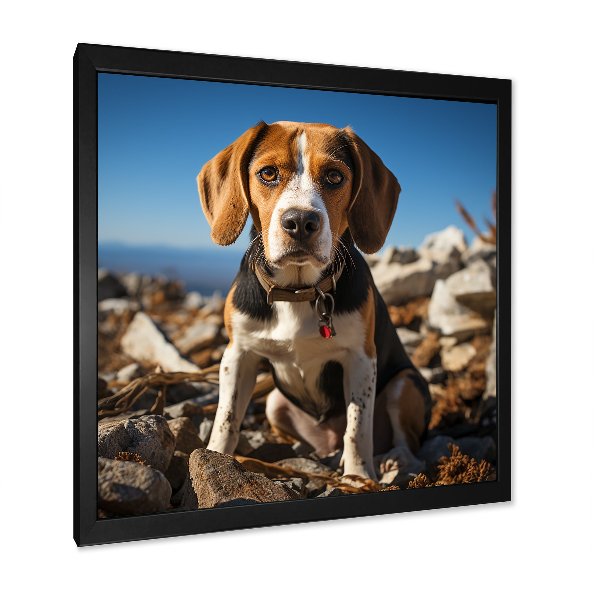 Rescue beagle dog in rocky - Dog Beagle Living Room Wall Art