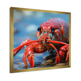 Coastal Crawler Portrait of a Lobster - Lobster Home Decor Art