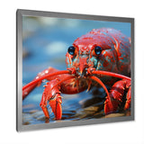 Coastal Crawler Portrait of a Lobster - Lobster Home Decor Art