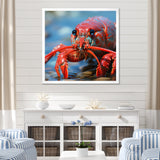 Coastal Crawler Portrait of a Lobster - Lobster Home Decor Art