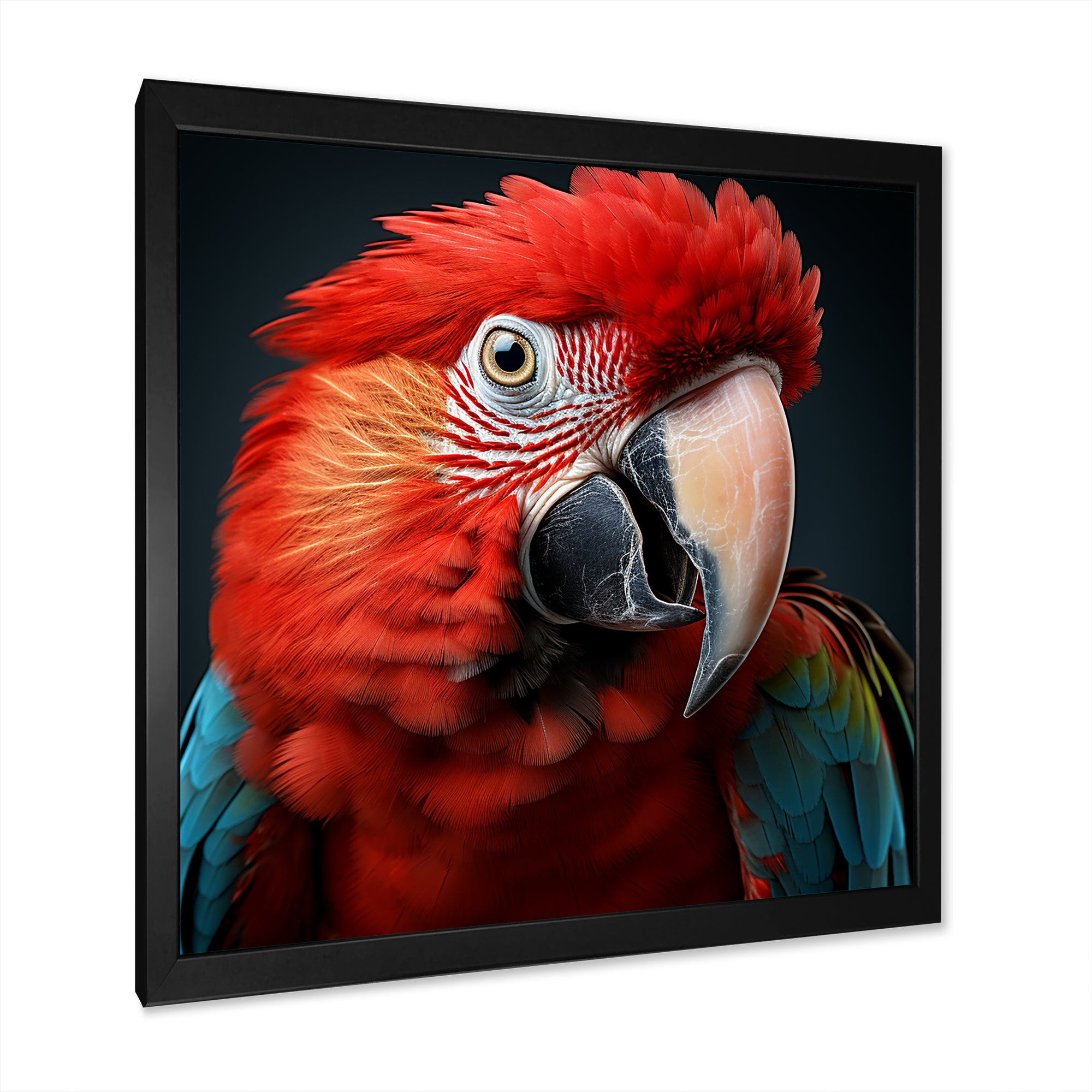 Red Parrot portrait photo - Parrot Wall Art Prints