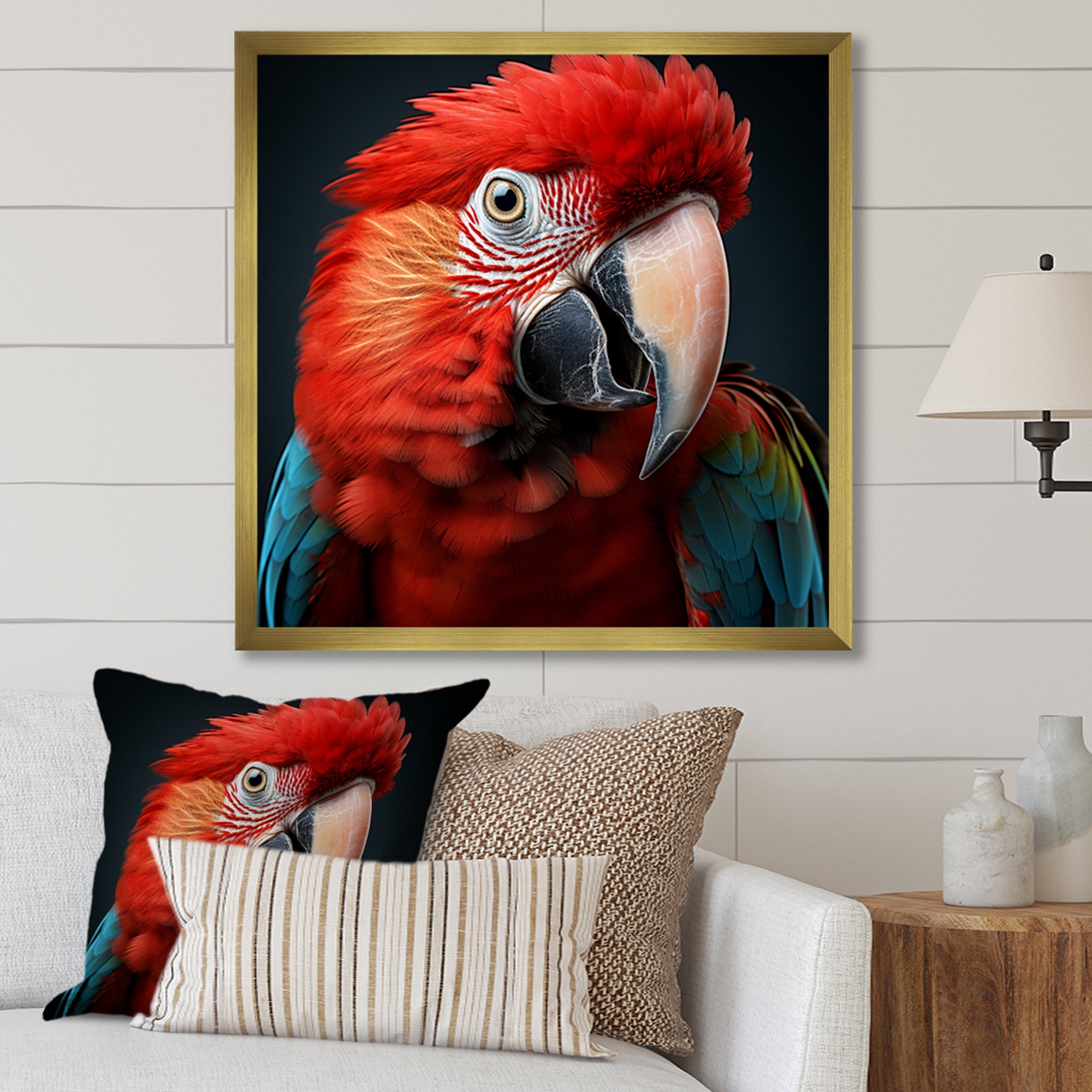 Red Parrot portrait photo - Parrot Wall Art Prints