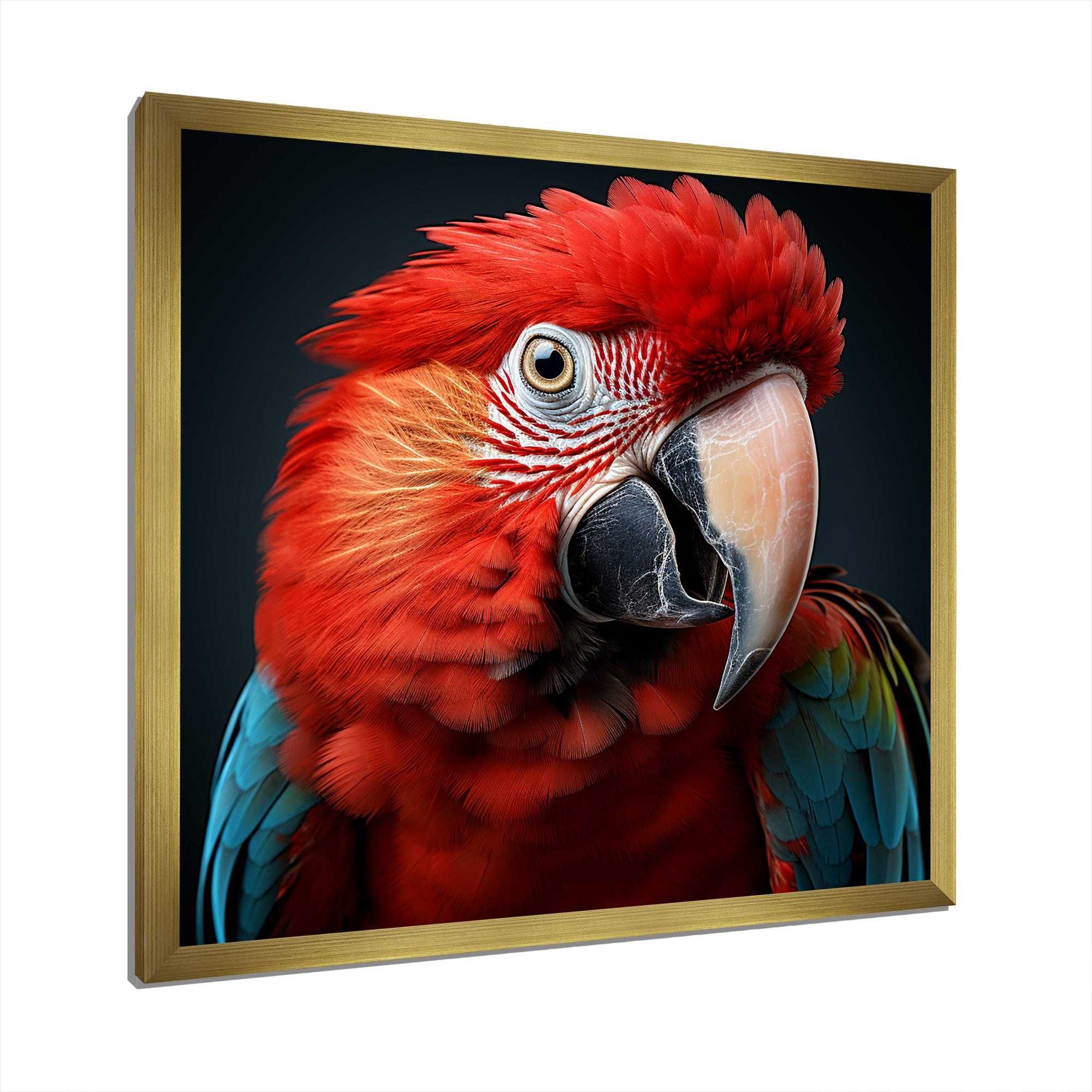 Red Parrot portrait photo - Parrot Wall Art Prints