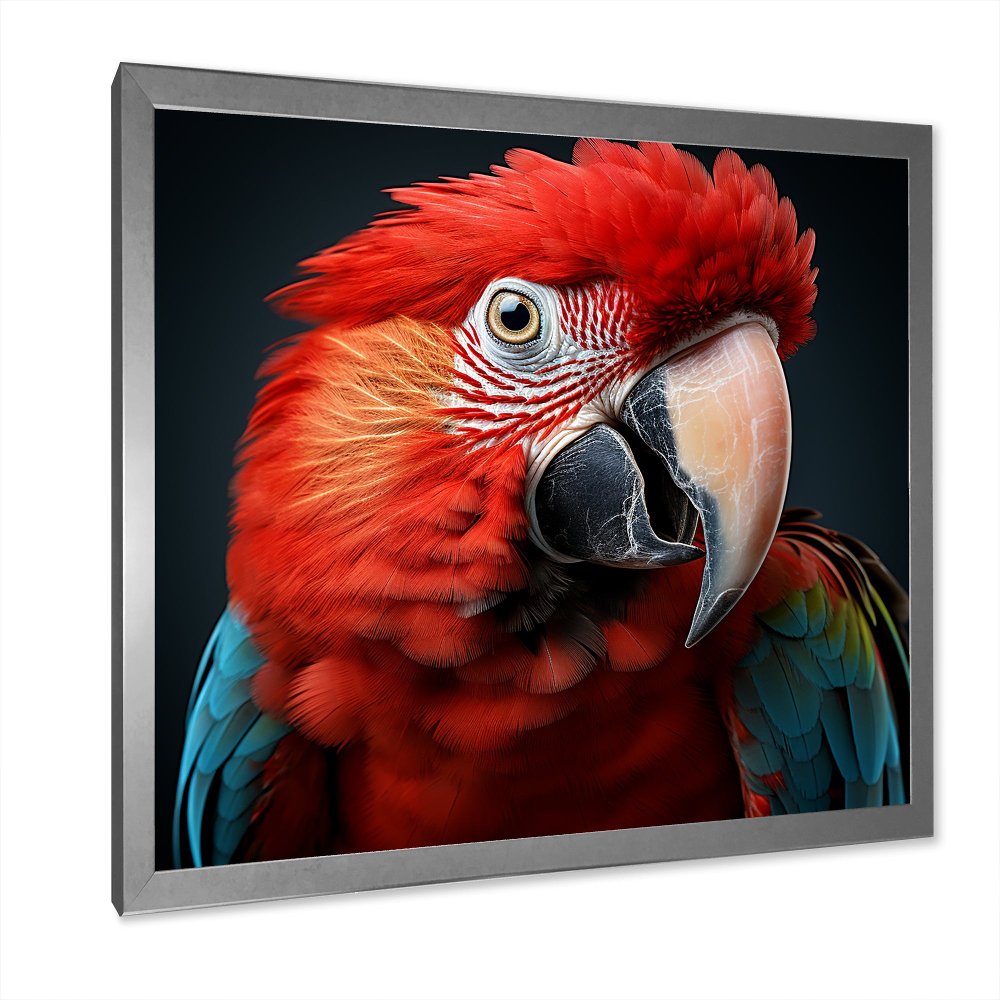 Red Parrot portrait photo - Parrot Wall Art Prints