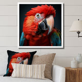 Red Parrot portrait photo - Parrot Wall Art Prints