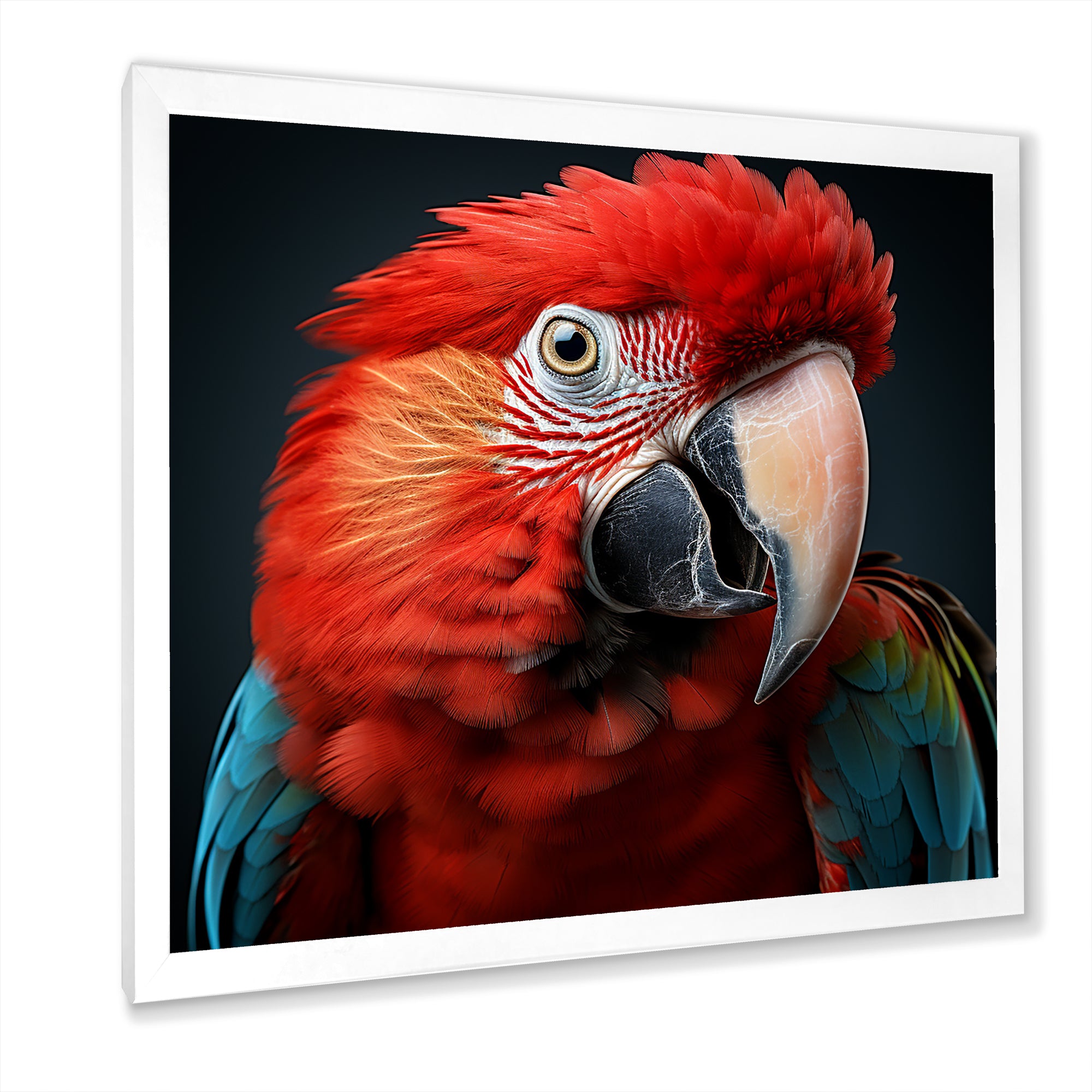 Red Parrot portrait photo - Parrot Wall Art Prints