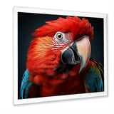 Red Parrot portrait photo - Parrot Wall Art Prints