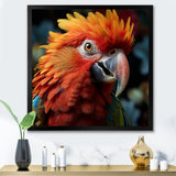 Orange Parrot portrait photo - Parrot Wall Art Prints