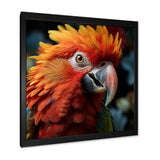 Orange Parrot portrait photo - Parrot Wall Art Prints