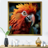 Orange Parrot portrait photo - Parrot Wall Art Prints