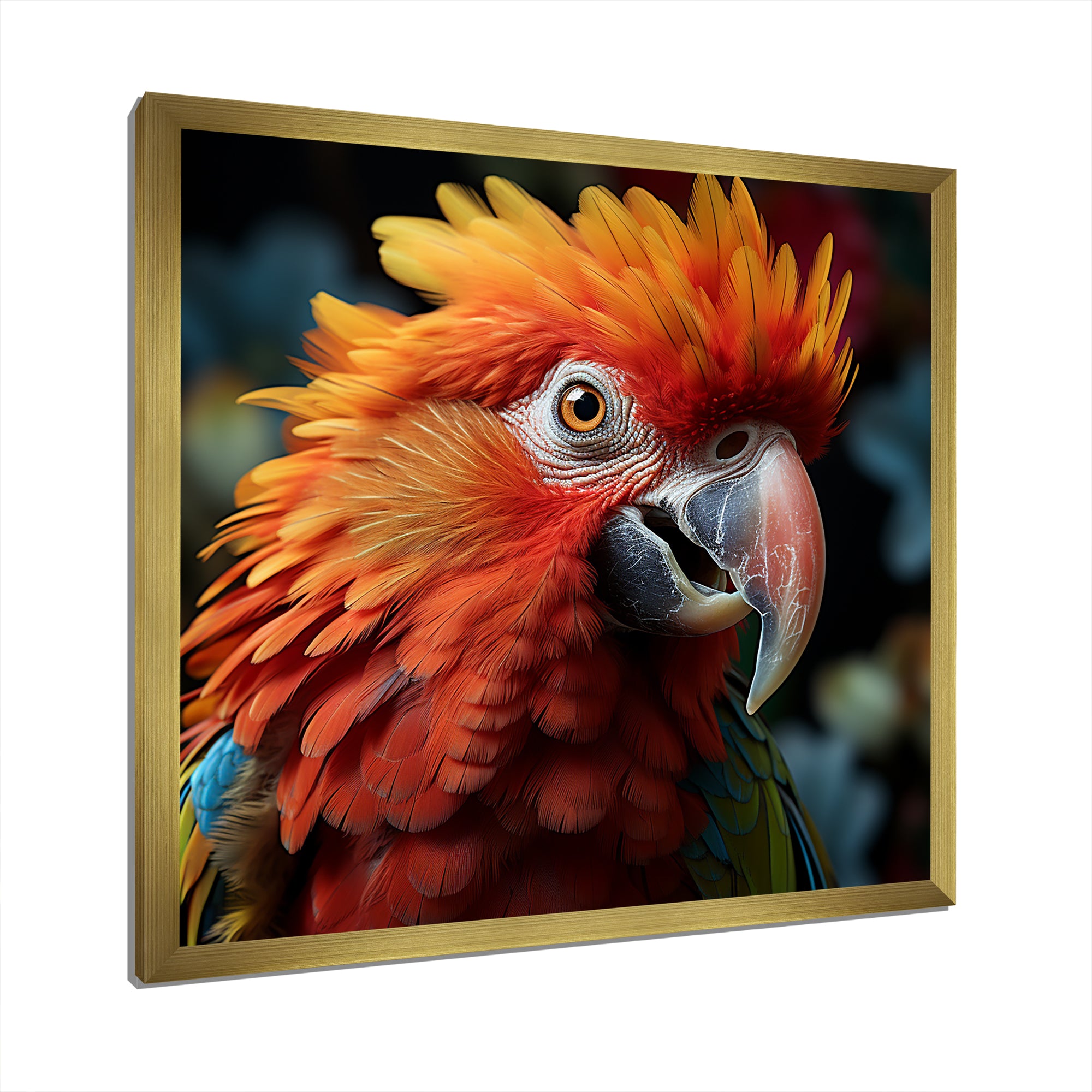 Orange Parrot portrait photo - Parrot Wall Art Prints