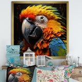 Yellow and blue Parrot portrait photo - Yellow Parrot Wall Art